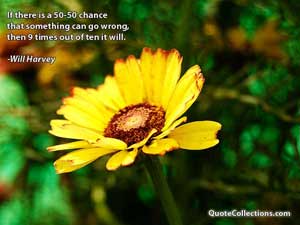 will_harvey_quotes Quotes 6
